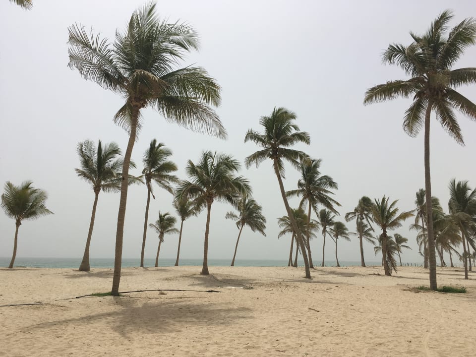 Strand Salalah Rotana Resort