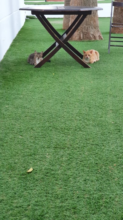 Sport & Freizeit Hotel Magda CLUB