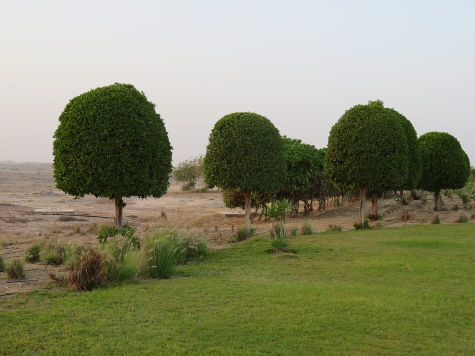Gartenanlage Wyndham Garden Salalah Mirbat