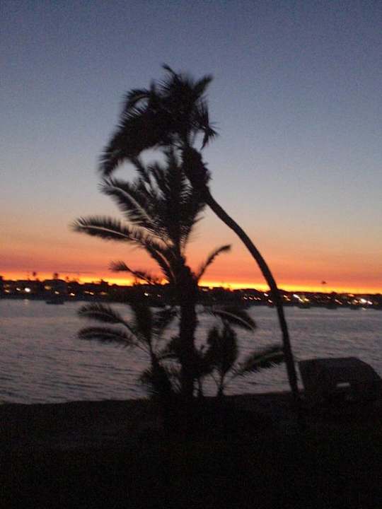 Ausblick aus der Suite Bahia Resort Hotel
