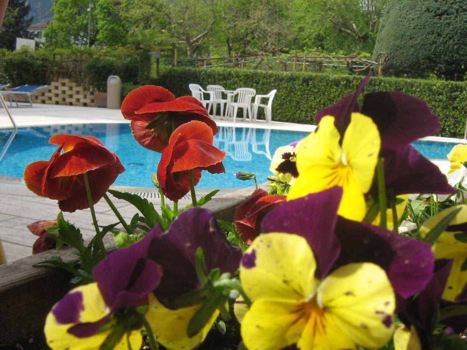 Particolare Hotel Imperial