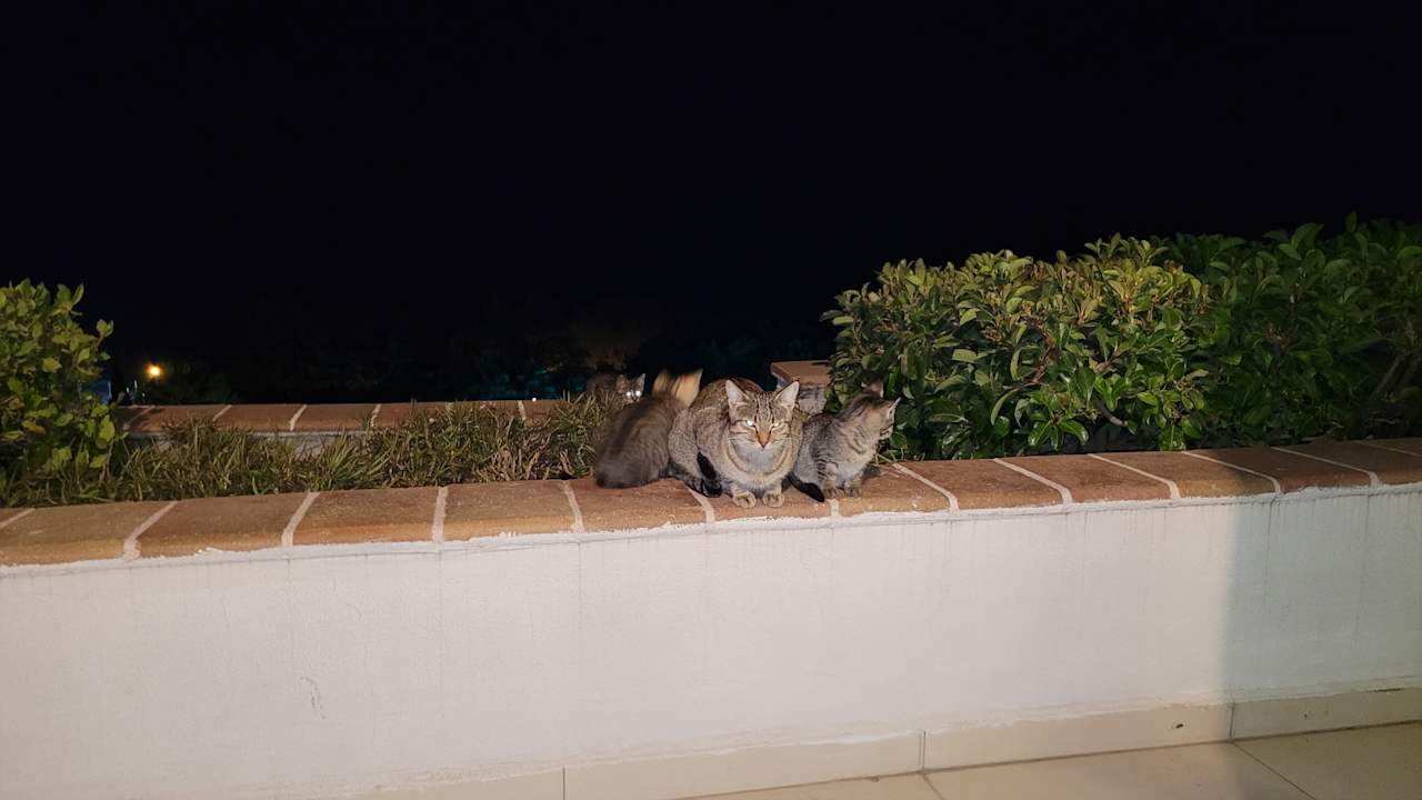 Zimmer Limak Limra Hotel & Resort