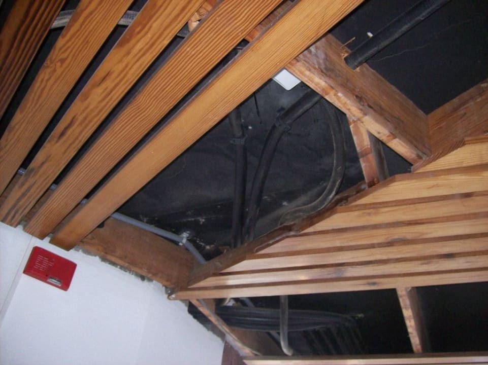 Decke? braucht doch kein Mensch oder? Corona Roja