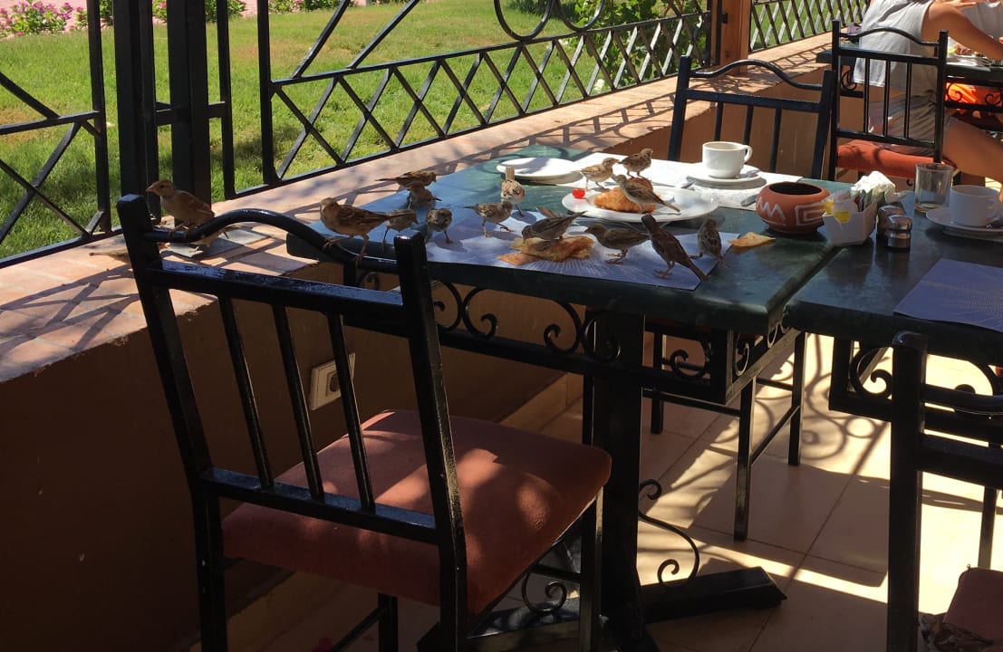 Restaurant Desert Rose