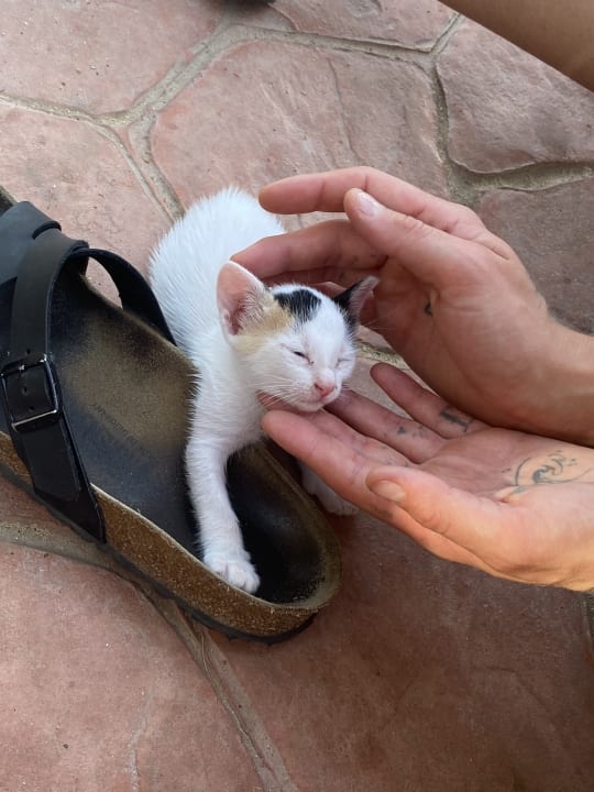 Sonstiges Dream Lagoon Resort & Aqua Park