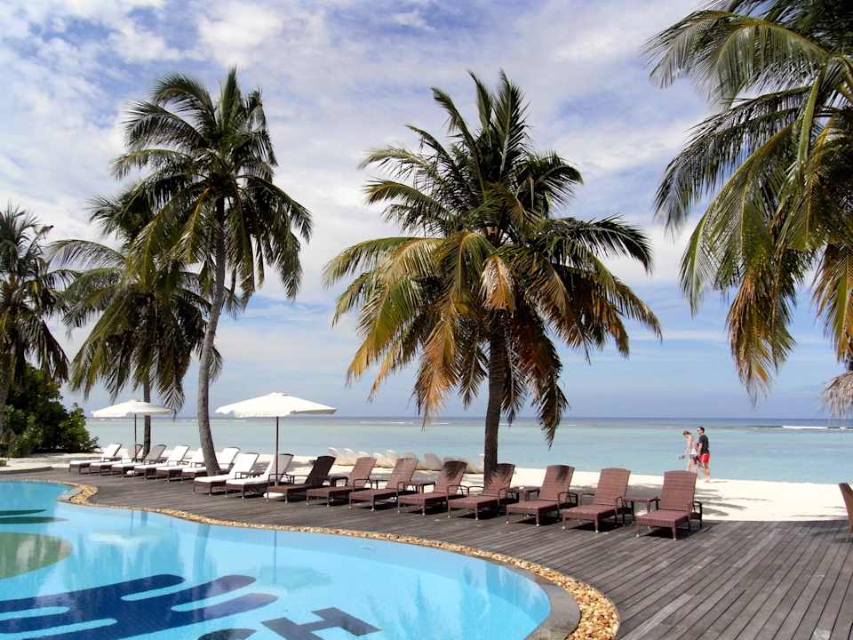 Pool mit Blick auf die Lagune Palm Beach Resort & Spa Maldives