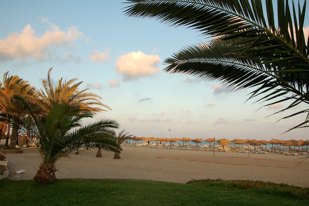 Strand am Nachmittag Steigenberger Marhaba Thalasso Hammamet