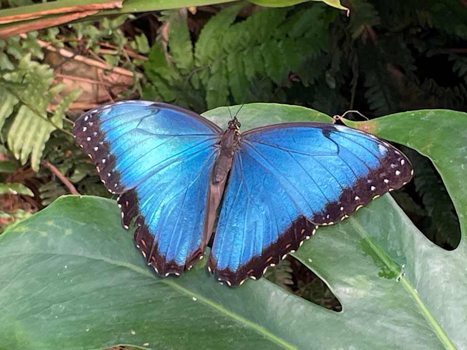 Sonstiges Hotel Zur Heidschnucke