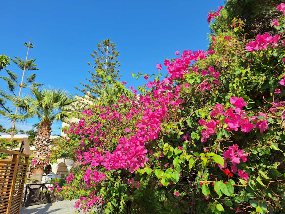 Außenansicht Hotel Kalithea Horizon Royal