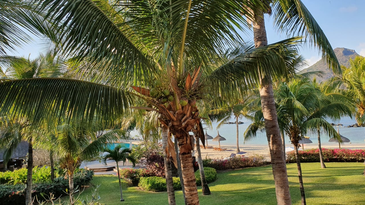 Ausblick Sands Suites Resort & Spa