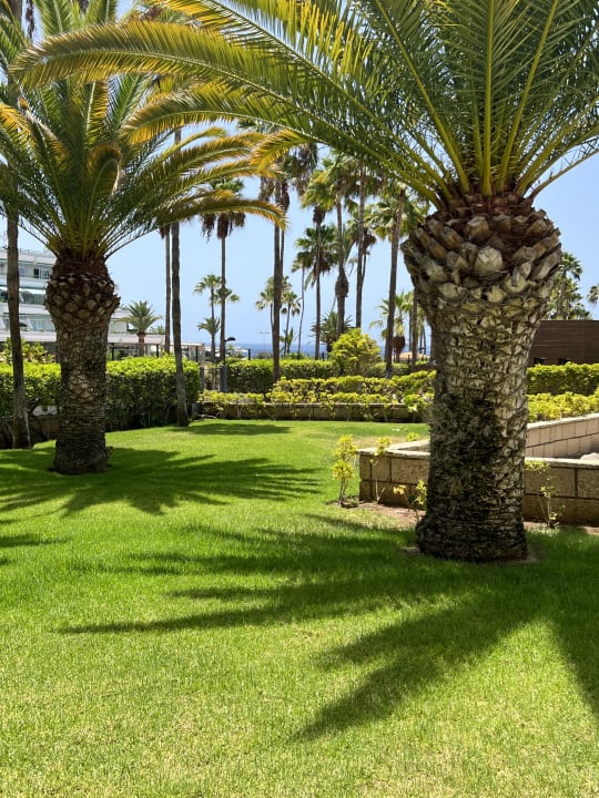 Gartenanlage Hotel Riu Palace Tenerife