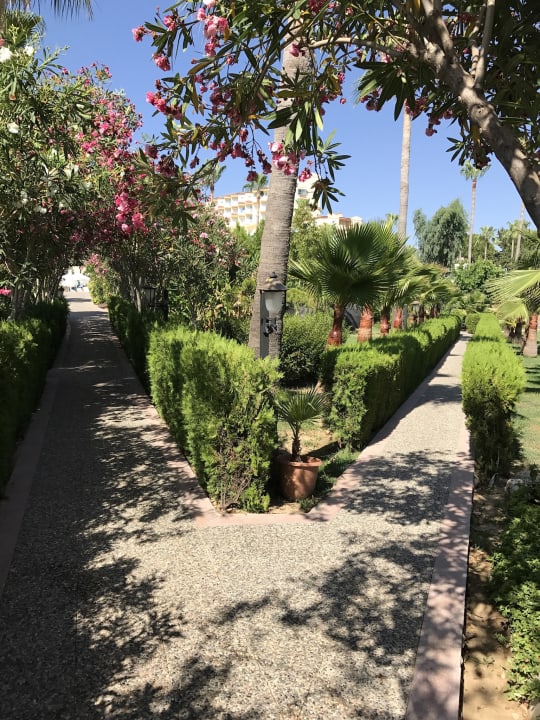 Gartenanlage Iz Flower Side Beach Hotel