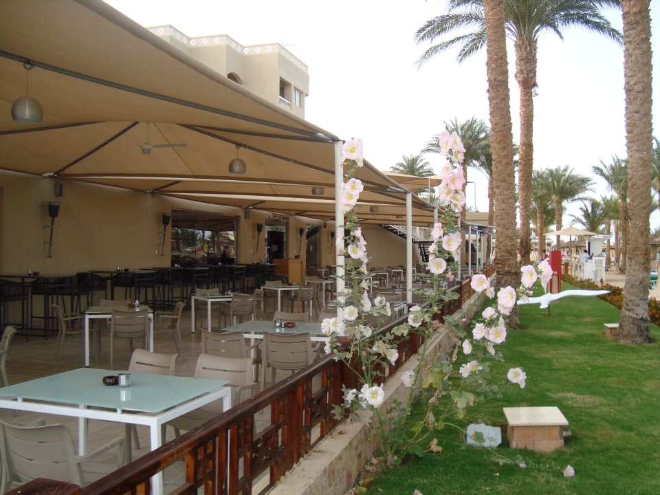 Gastro Beach Albatros Resort