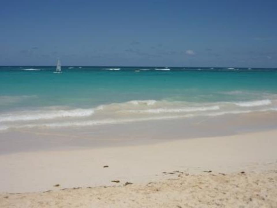 Strandabschnitt neben dem Hotel Hotel Riu Palace Punta Cana