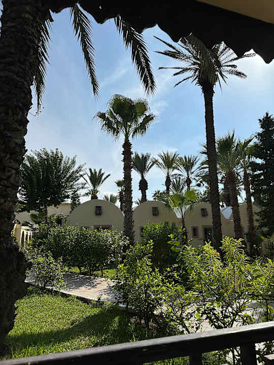 Gartenanlage Hotel Paradis Palace