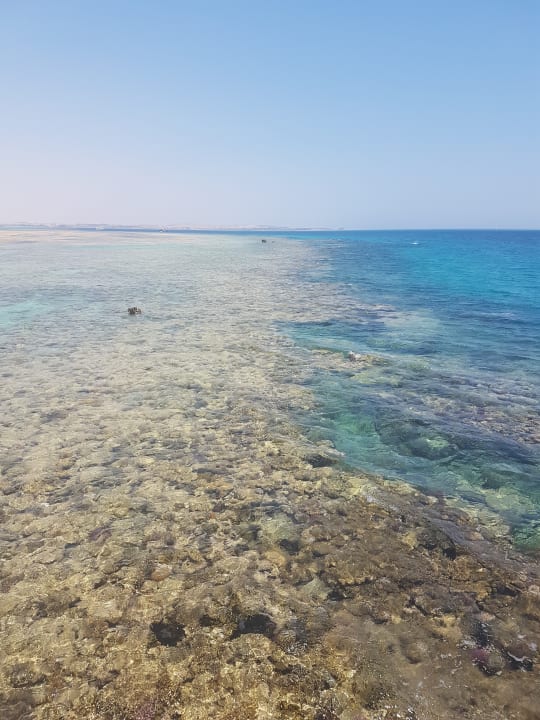 Strand Makadi Spa - Adults only