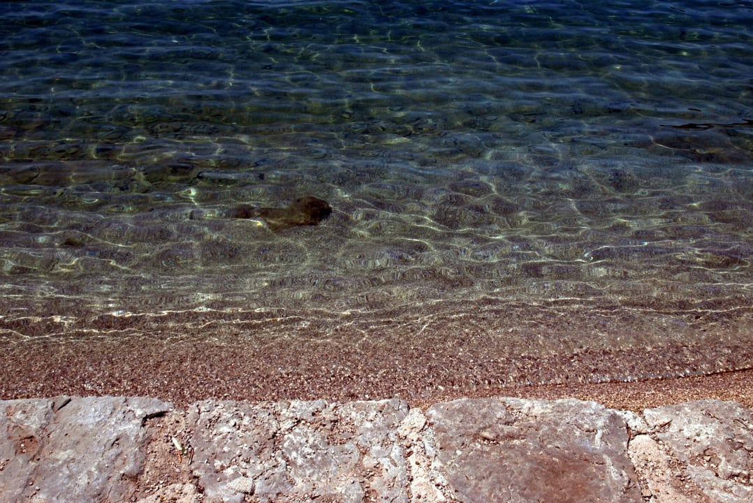 Ganz klares Wasser Hotel Kimen