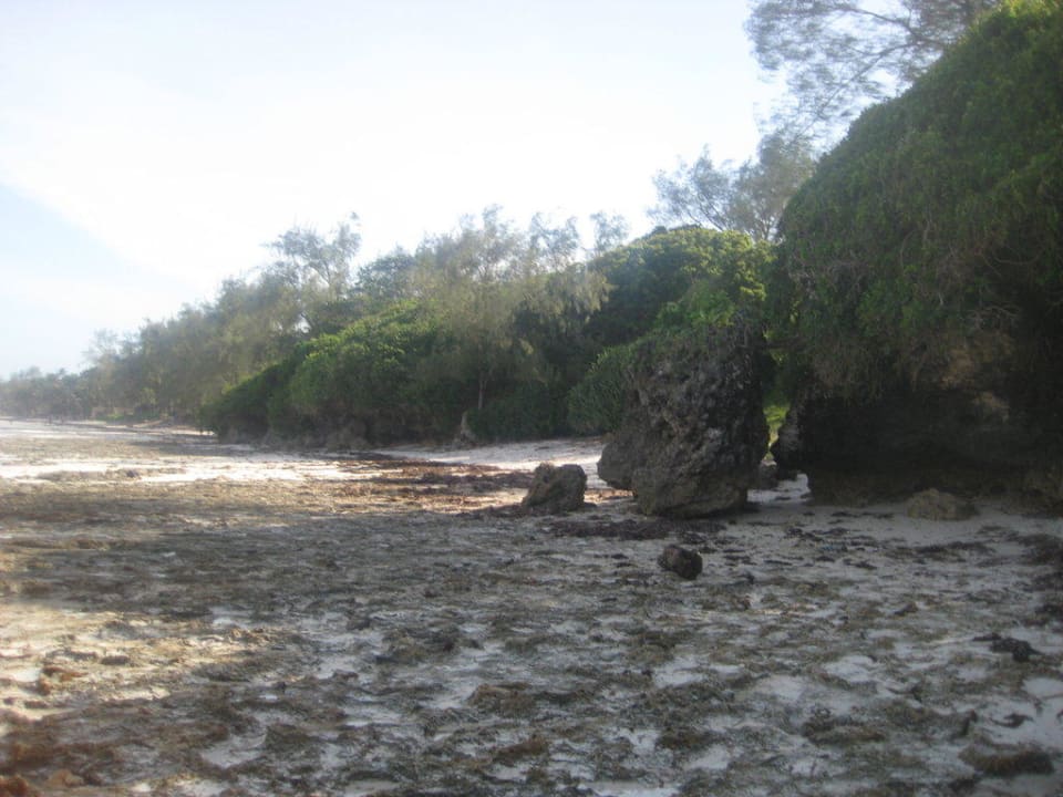Strand Kaskazi Beach Resort