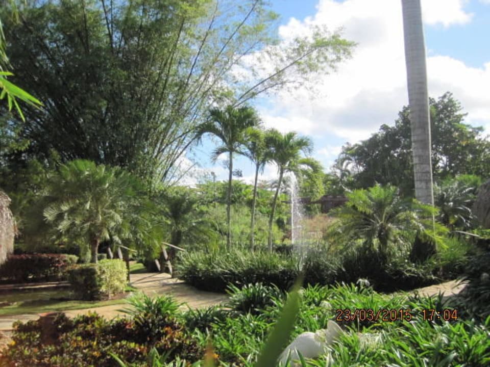 Gepflegte Anlage Dreams La Romana Resort & Spa