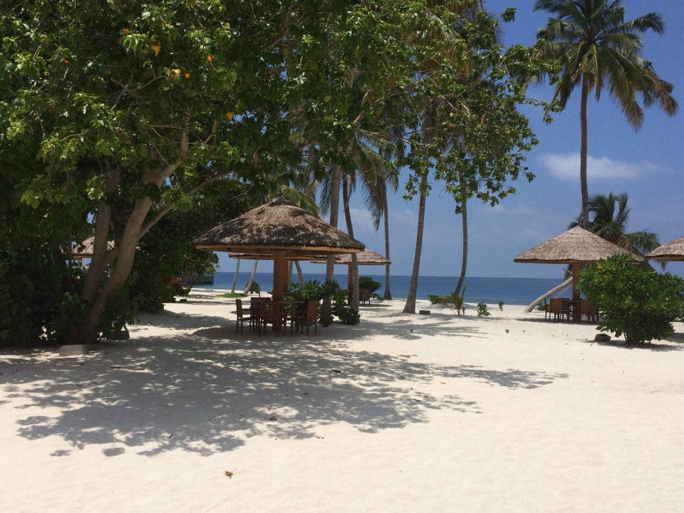 Ausblick Reethi Faru Resort
