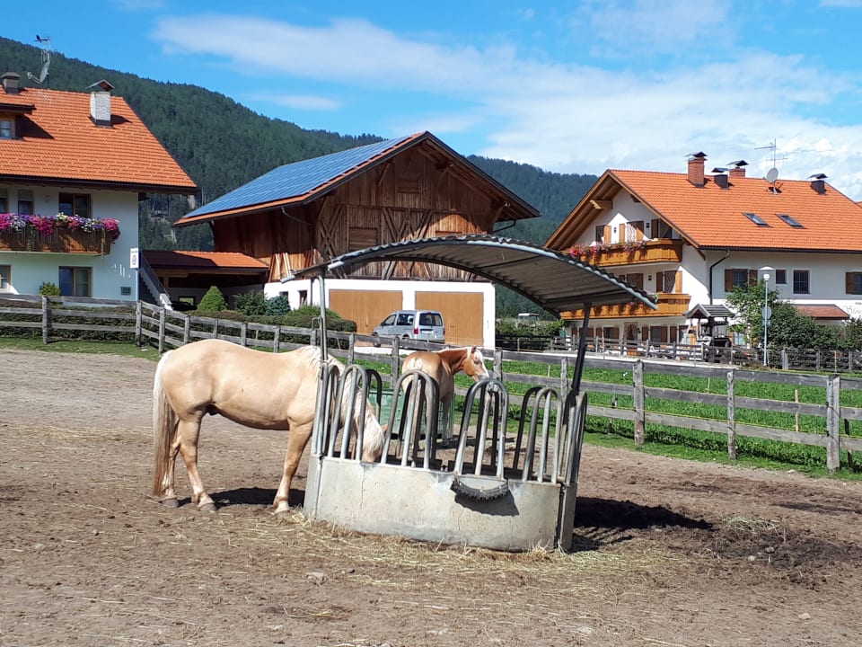 Sport & Freizeit Hotel Tharerwirt