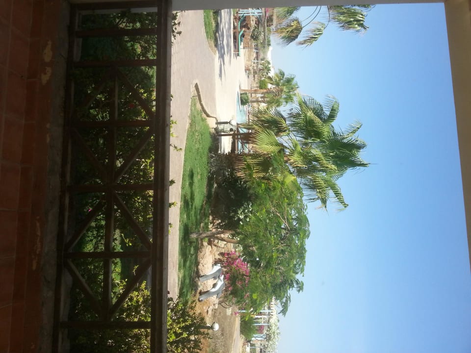 Widok Solitaire Resort Marsa Alam