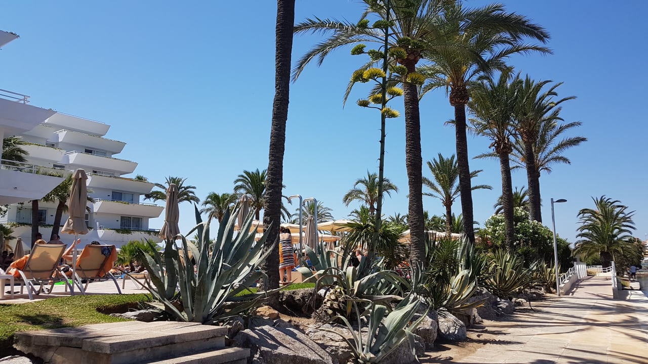 Gartenanlage VIVA Eden Lago