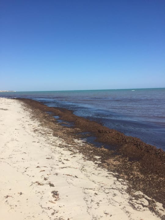 Strand Djerba Sun Beach Hotel & Spa