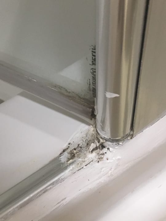 Zimmer Kamelya Aishen Club