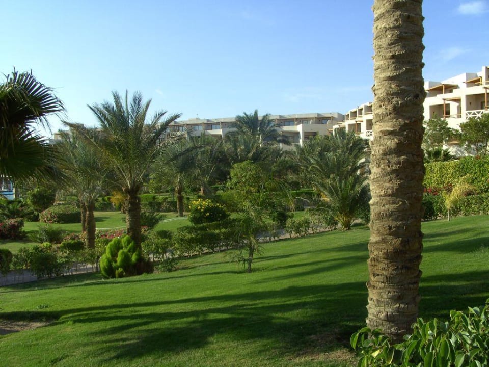 Teilansicht Gartenanlage vor Old Wings Fort Arabesque Resort, Spa & Villas