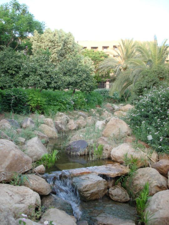 Hotel Mövenpick Mövenpick Resort & Spa Dead Sea