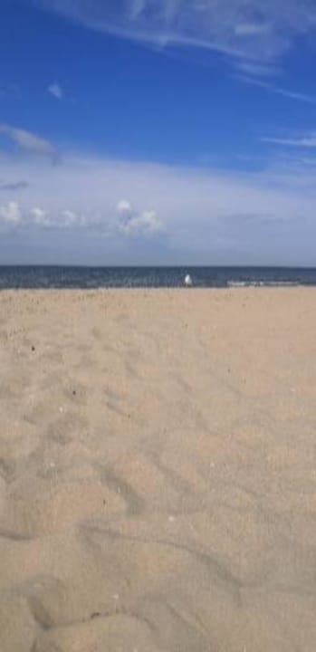 Strand Hotel Zee en Duin