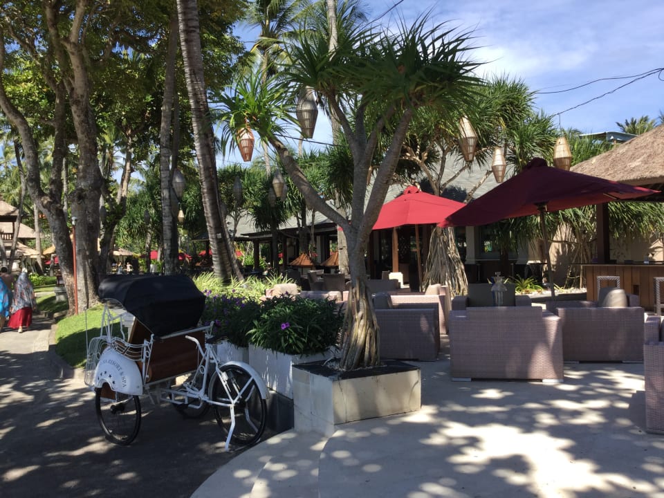 Gartenanlage The Laguna A Luxury Collection Resort & Spa