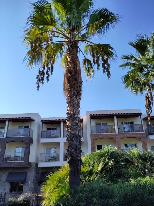 Gartenanlage Aqua Fantasy Aquapark Hotel & Spa