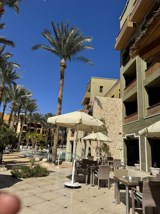 Gastro Makadi Spa - Adults only