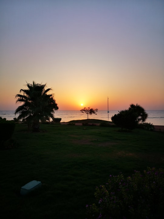 Gartenanlage Three Corners Equinox Beach Resort