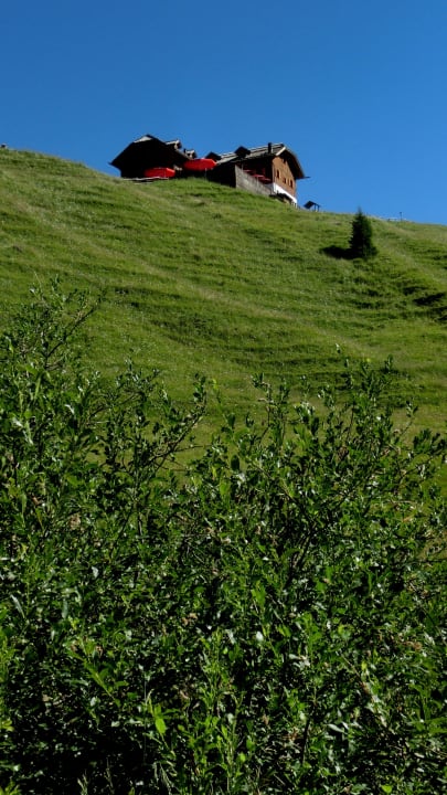 Unterhalb des "Zallingers" Berghaus Zallinger