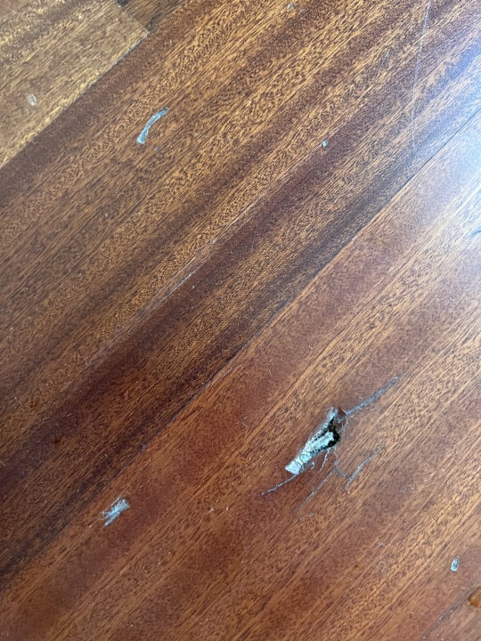 Zimmer The Plaza Bodrum