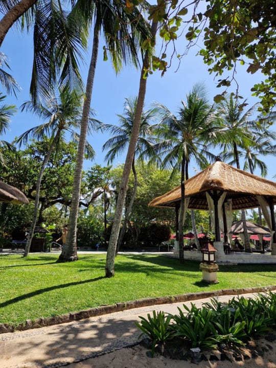 Gartenanlage The Laguna A Luxury Collection Resort & Spa