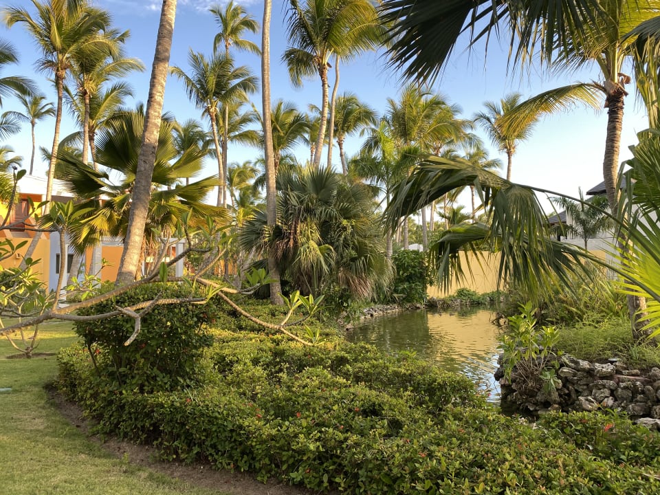 Gartenanlage Iberostar Selection Coral Bávaro