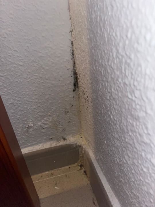 Zimmer Flipflop Cala Romantica