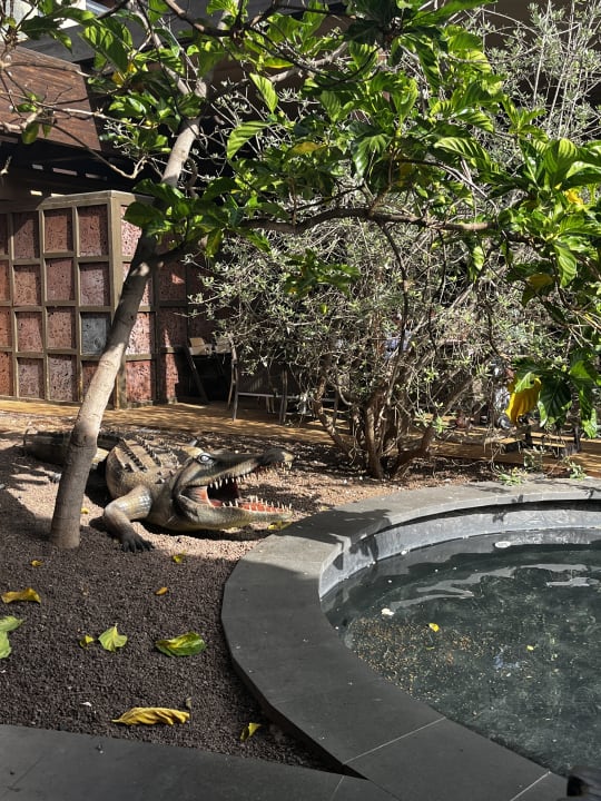 Gartenanlage Lopesan Baobab Resort