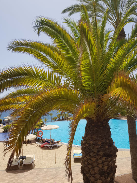 Pool R2 Rio Calma Hotel & Spa & Conference