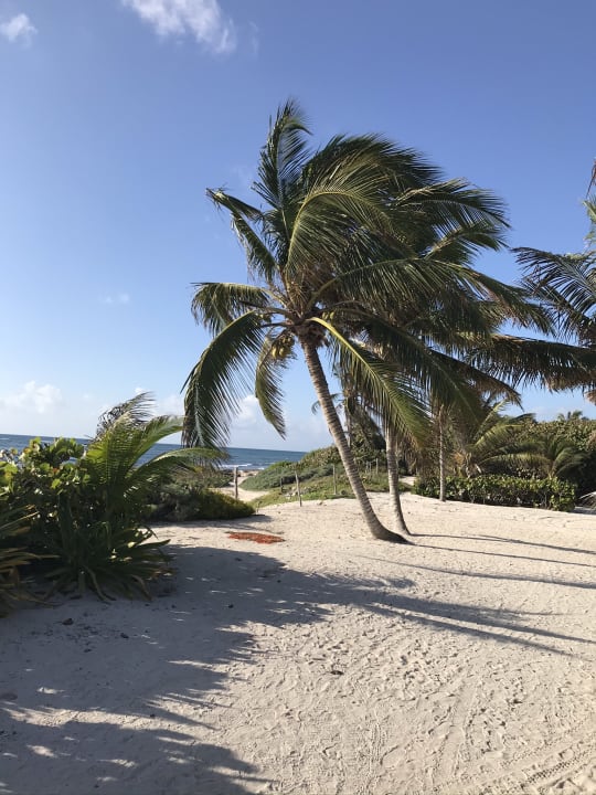 Strand Akumal Bay Beach & Wellness Resort