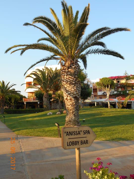 Gartenanlage Anissa Beach & Village