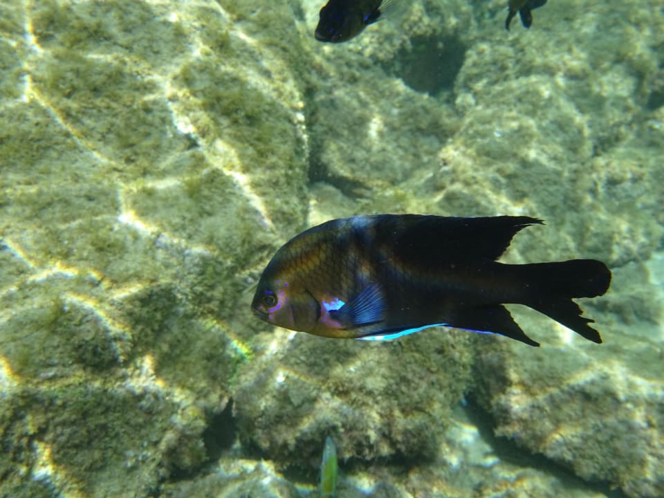 Strand Barceló Teguise Beach - Adults only