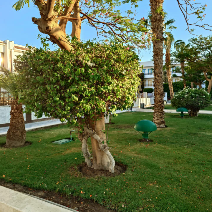 Gartenanlage The Grand Hotel Hurghada