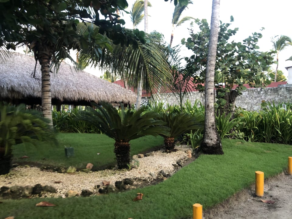 Gartenanlage Hotel Grand Palladium Palace Resort, Spa & Casino