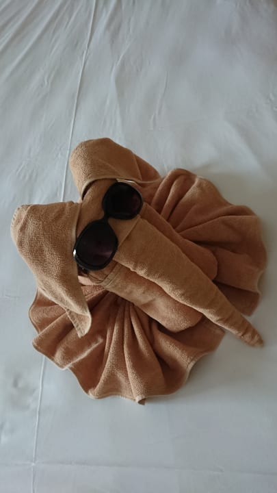 Zimmer SBH Hotel Taro Beach