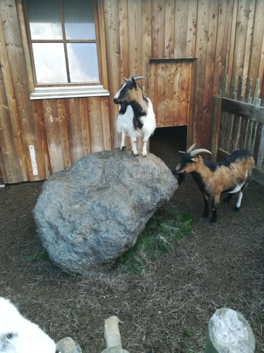 Sonstiges JUFA Hotel Gitschtal